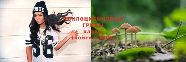 хмурый Балабаново