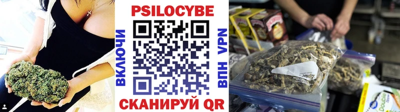 купить  сайты  Ленинск-Кузнецкий  Галлюциногенные грибы Cubensis 